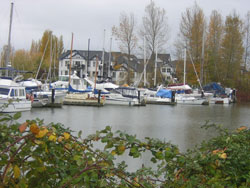 View of moorage area